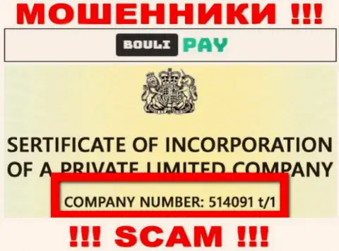 Регистрационный номер Bouli Pay возможно и фейковый - 514091 t/1