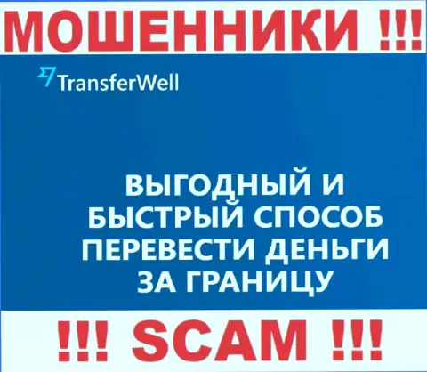 Не стоит верить, что работа TransferWell Net в направлении Платежная система законна