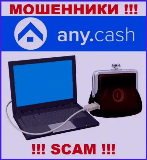 Any Cash - это МОШЕННИКИ, сфера деятельности которых - Цифровой online-кошелек