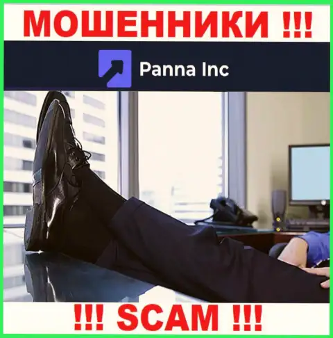 Никаких сведений о своем непосредственном руководстве, интернет-мошенники Panna Inc не сообщают