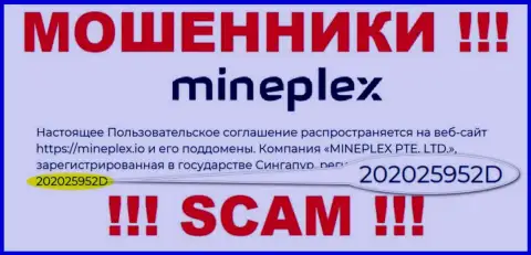 Регистрационный номер очередной неправомерно действующей конторы MinePlex - 202025952D