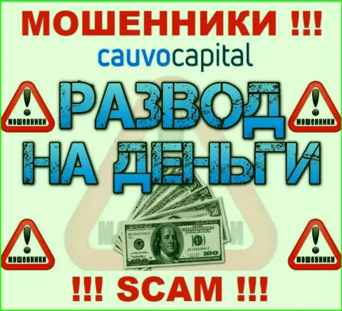 Даже не ждите, что с организацией Cauvo Capital возможно приумножить прибыль, Вас надувают