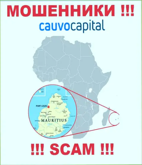 Контора CauvoCapital ворует финансовые вложения наивных людей, расположившись в оффшоре - Mauritius