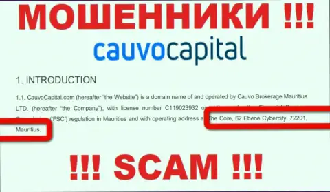 Невозможно забрать обратно вложения у компании Кауво Капитал - они засели в офшоре по адресу: The Core, 62 Ebene Cybercity, 72201, Mauritius