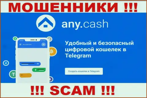 Any Cash - это разводилы, их деятельность - Виртуальный кошелек, нацелена на отжатие денежных средств наивных клиентов