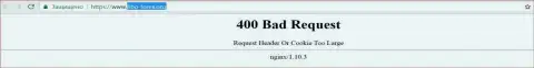 Официальный веб-портал брокерской компании FIBO Group Ltd несколько дней заблокирован и выдает - 400 Bad Request (ошибка)