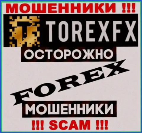 Направление деятельности Торекс ФХ 42 Маркетинг Лимитед: Forex - отличный доход для internet обманщиков
