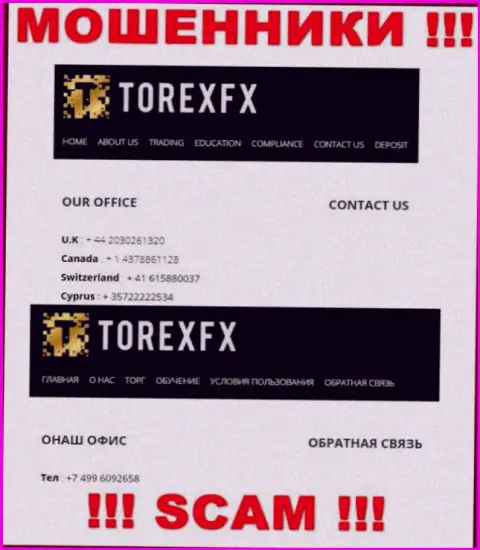 В запасе у internet мошенников из организации TorexFX имеется не один телефонный номер